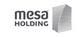 Mesa Holding