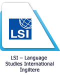 LSI Logo