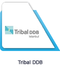 Tribal DDB