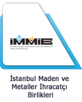 IMMIB Logo