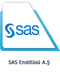 SAS Enstitüsü