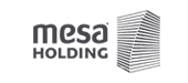 mesa Holding