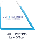 Gun + Partners Law Office